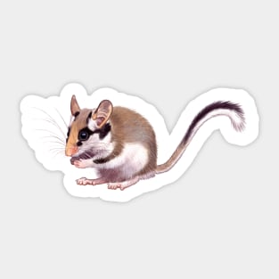 Garden Dormouse Sticker